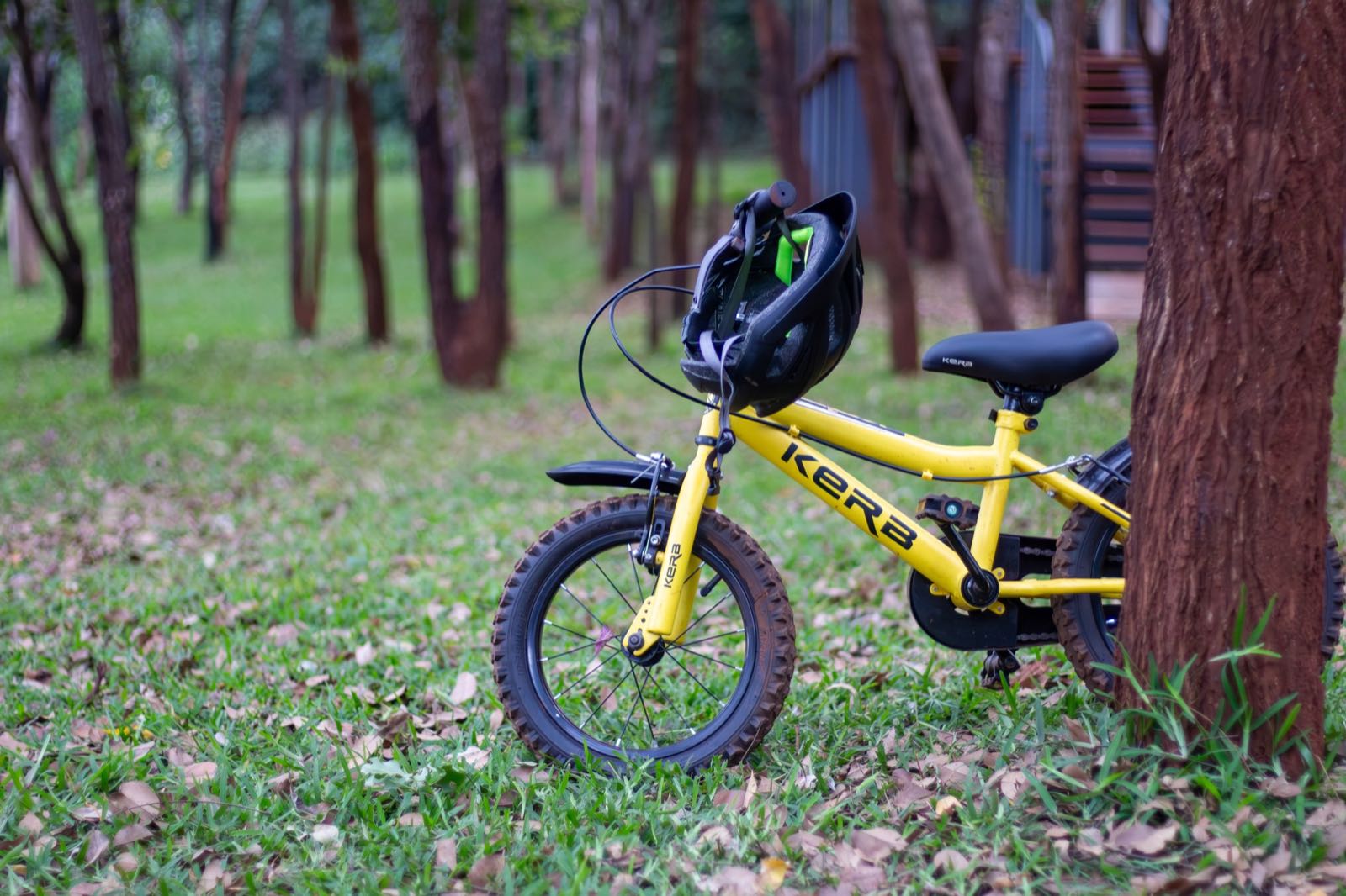 Child with a bicycle at Woodlands