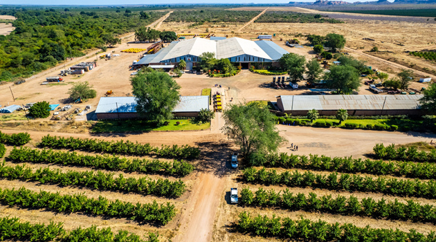 Beitbridge and Nottingham Estates