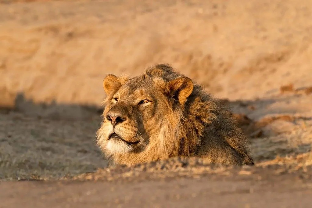 Gonarezhou National Park