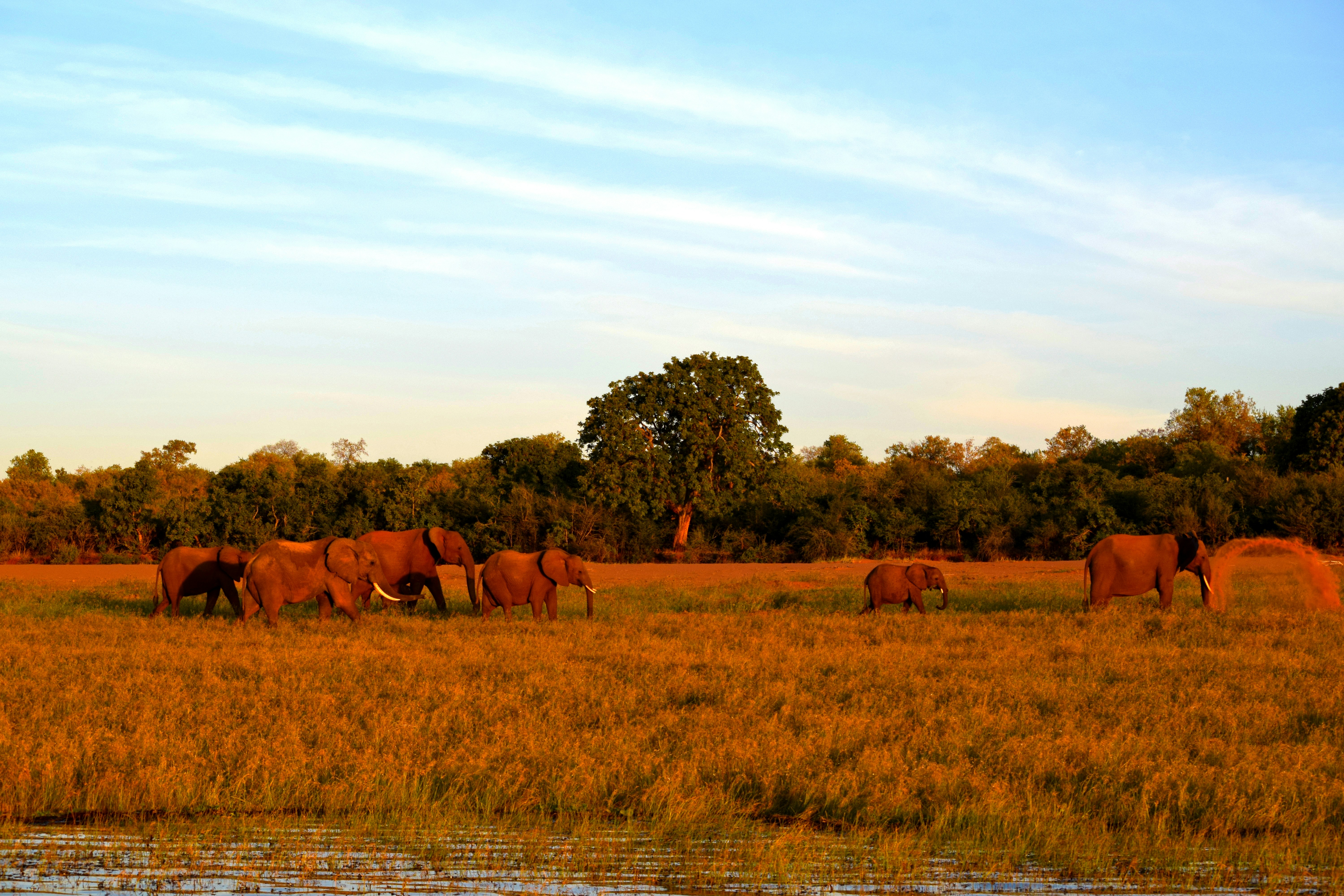 Lake Kariba