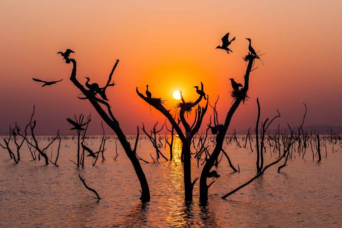 Lake Kariba