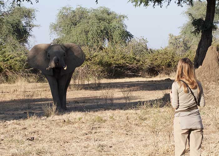 Save Valley Conservancy